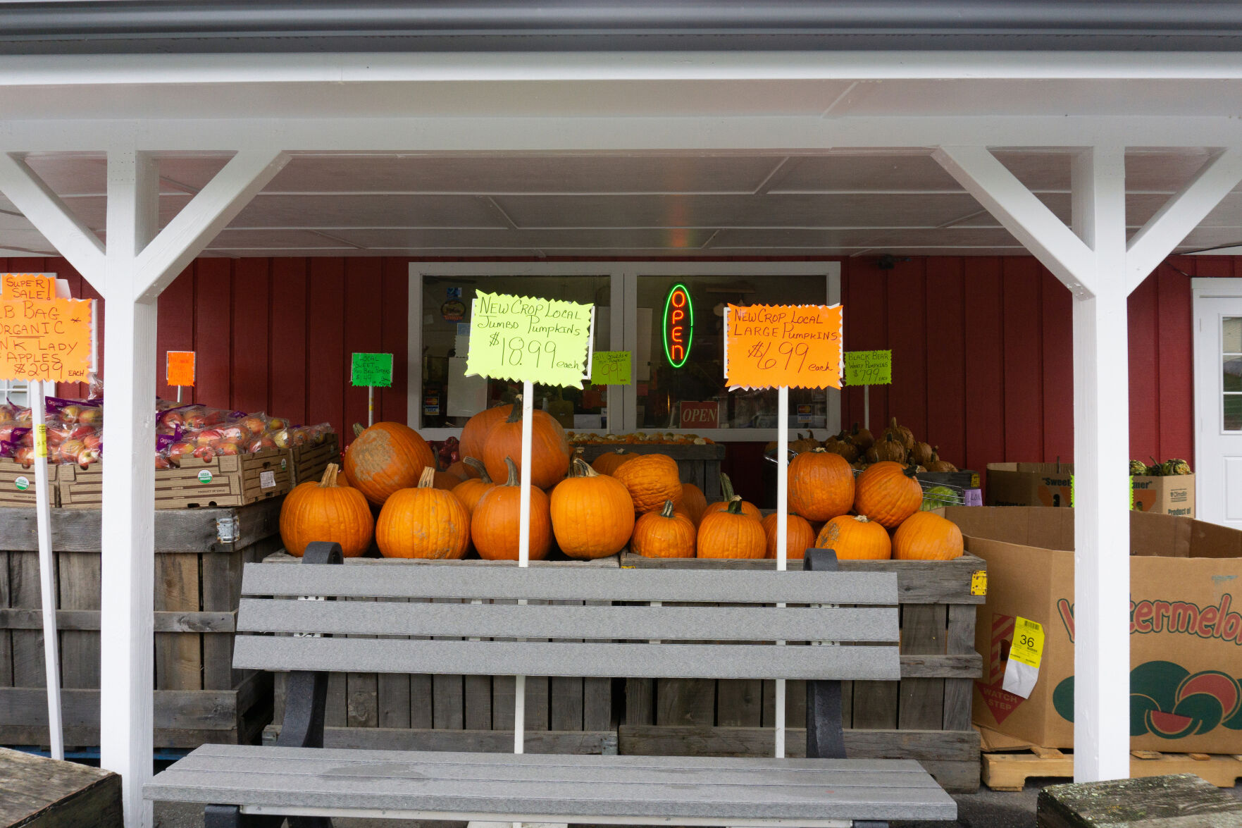 Christopher Farms pumpkins